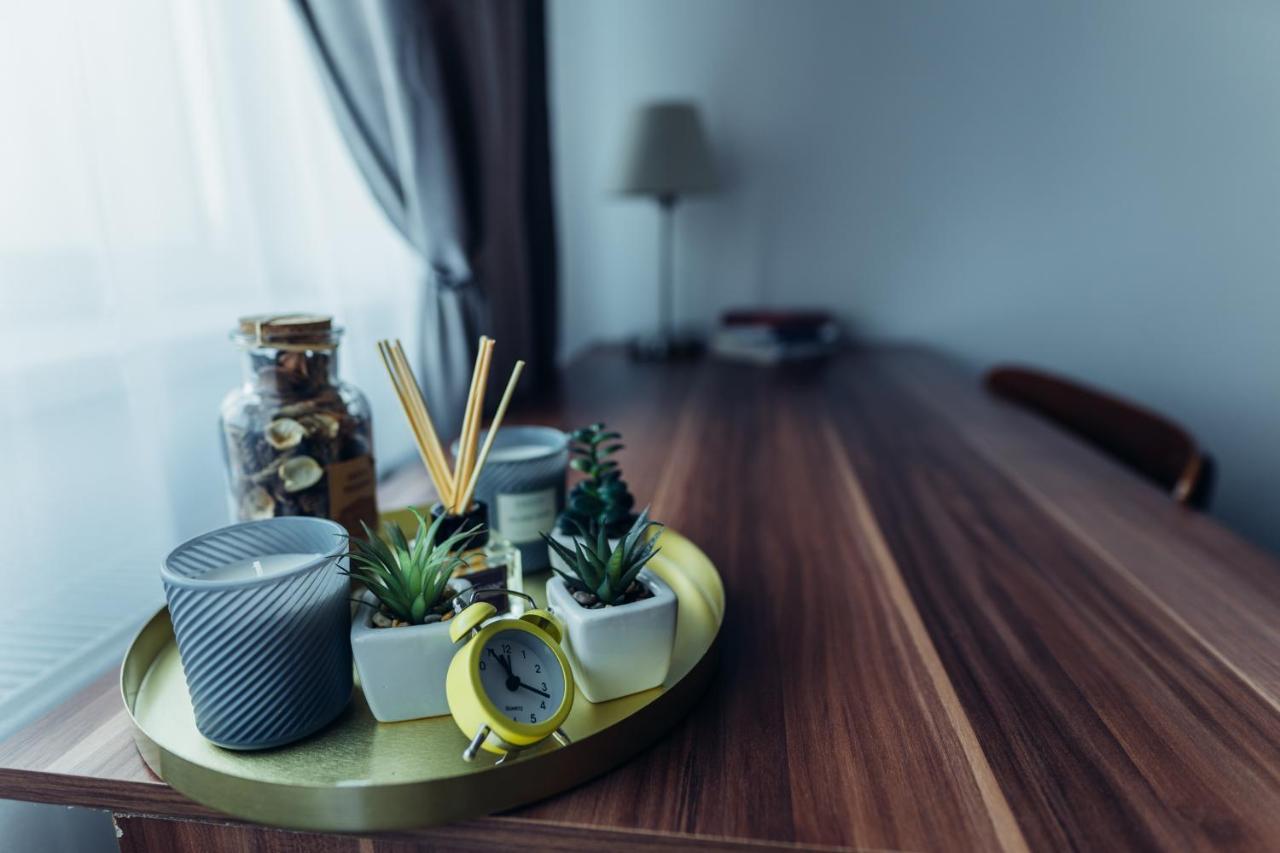 Thome Hoia Studio 1Bedroom Cluj-Napoca Eksteriør bilde