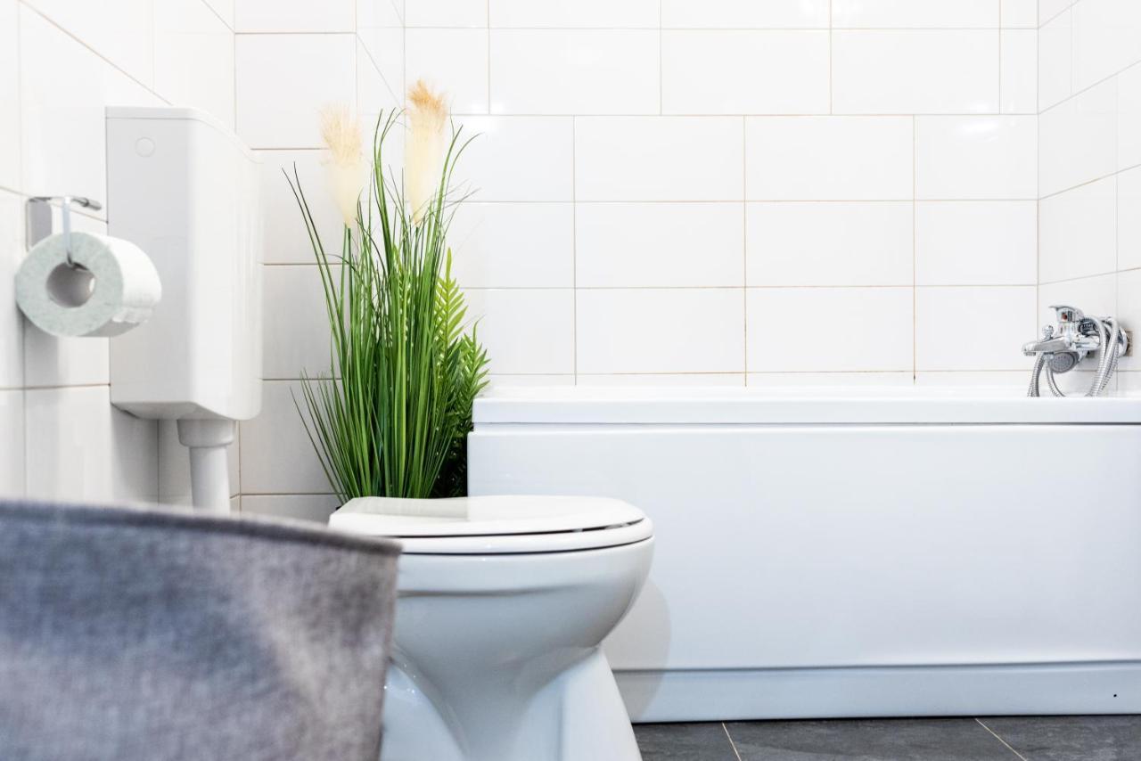 Thome Hoia Studio 1Bedroom Cluj-Napoca Eksteriør bilde